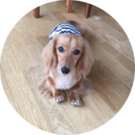 飼い主さんの声