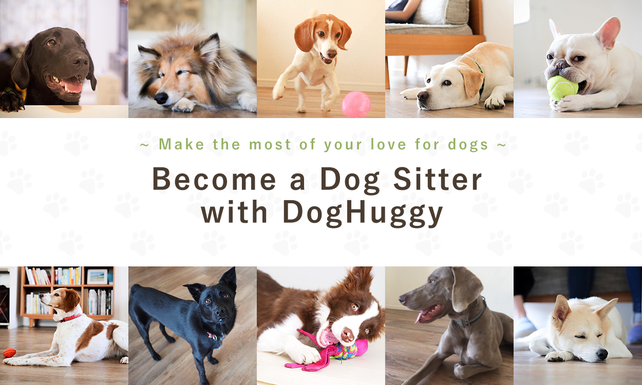 Become a Dog Sitter with DogHuggy