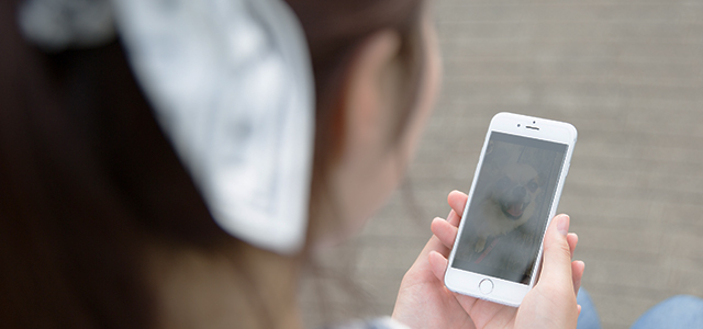 離れていても安心