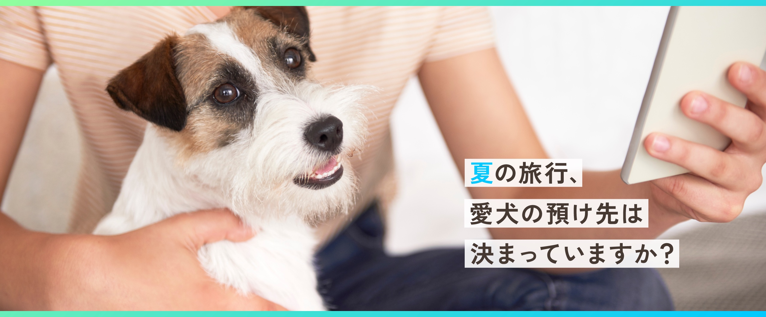 夏の旅行、愛犬の預け先は決まっていますか？