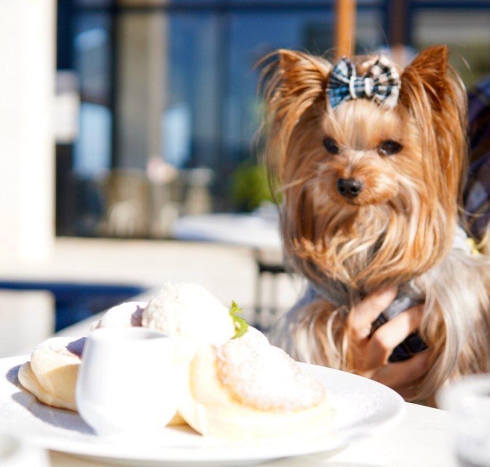 幸せのパンケーキ 淡路島テラス