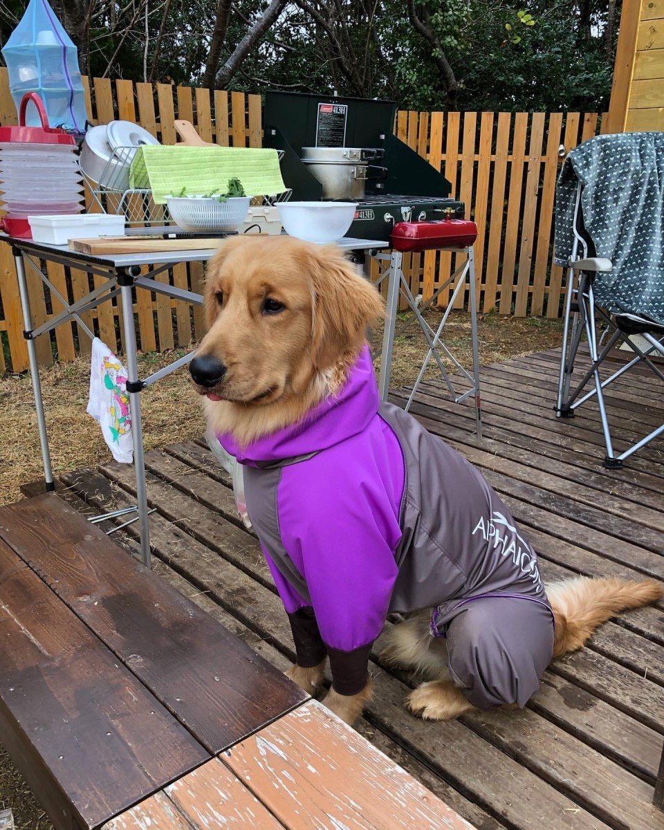 ACN南紀串本リゾート大島