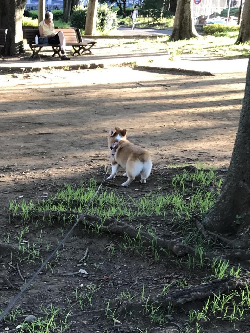 駒沢オリンピック公園
