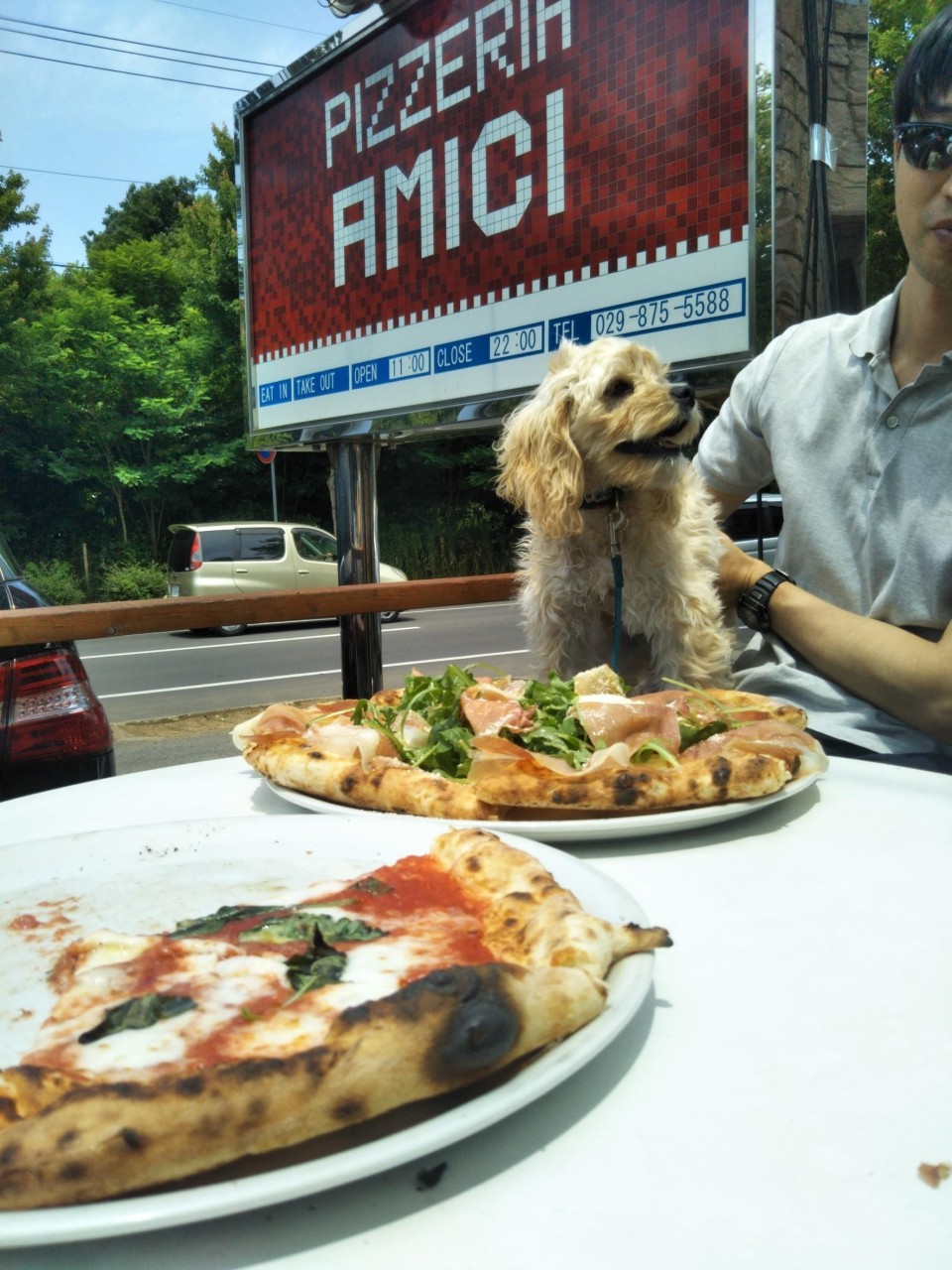 トラットリア エ ピッツェリア アミーチ