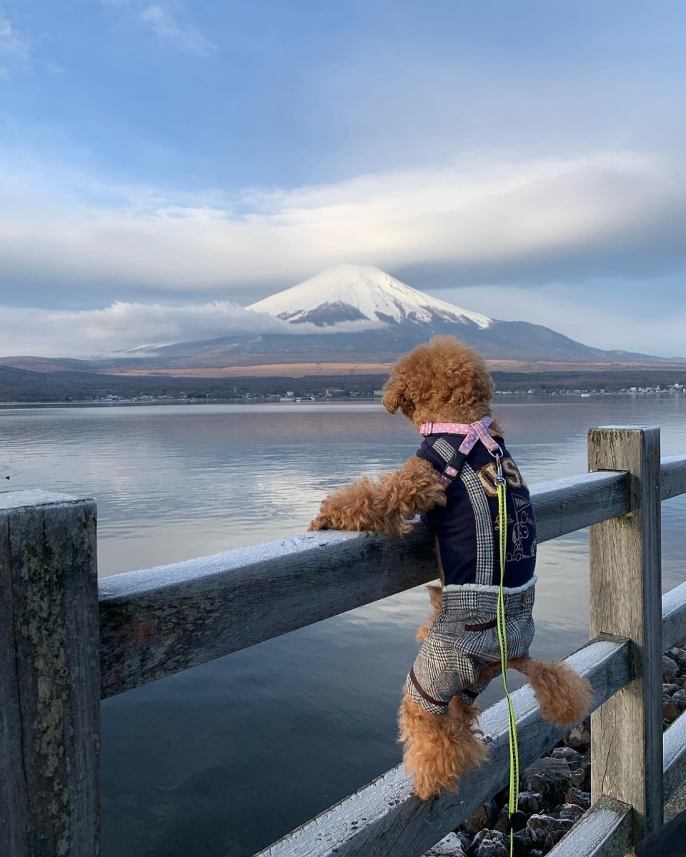 山中湖 親水公園