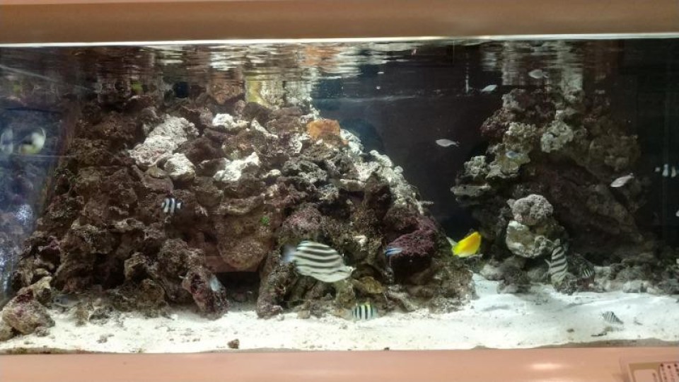 【閉店】カフェ&レストラン エル・ウエーブ