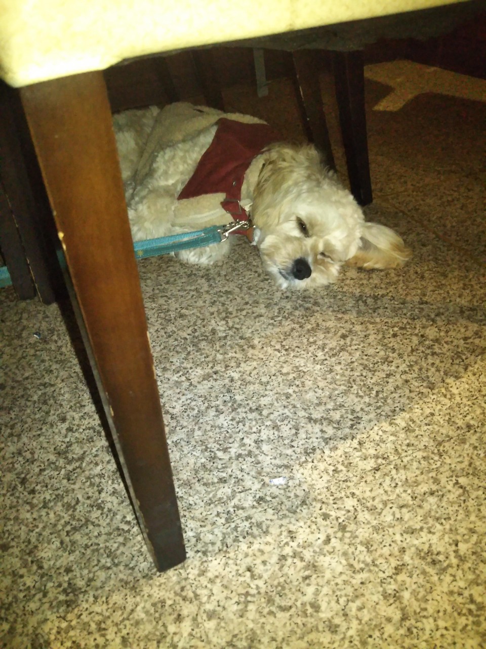 横浜中華街龍海飯店