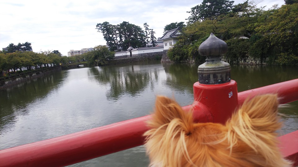 小田原城址公園