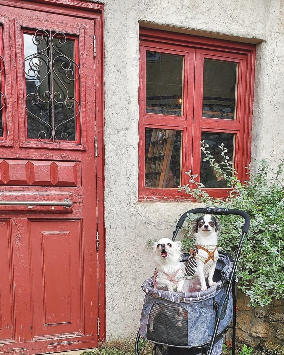 プレールカフェ