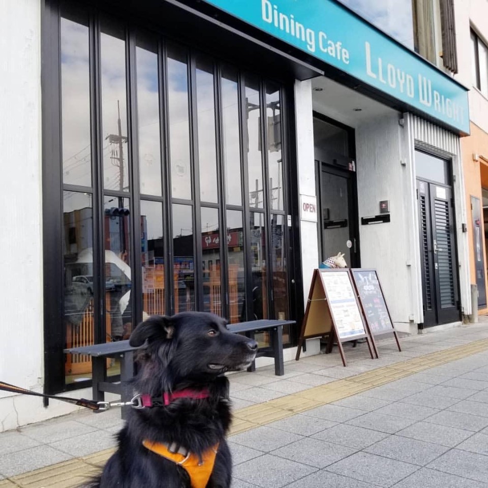 Dining Cafe Lloyd wright （ダイニングカフェロイドライト）