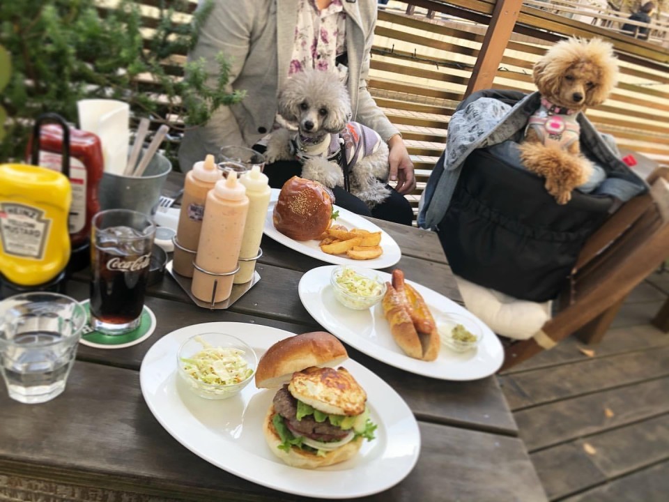 hasamu （ハサム）