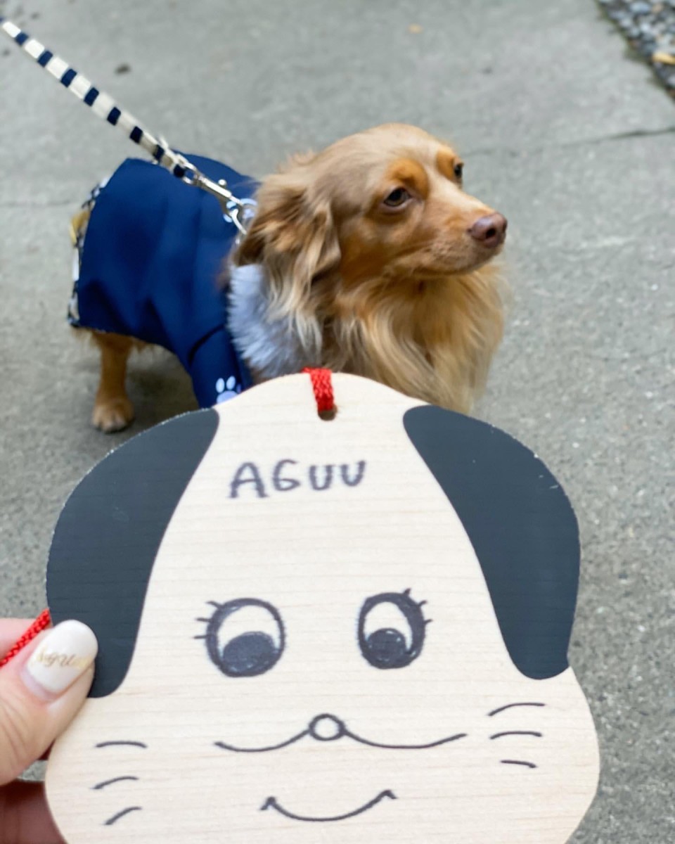 座間神社 伊奴寝子社（いぬねこしゃ）
