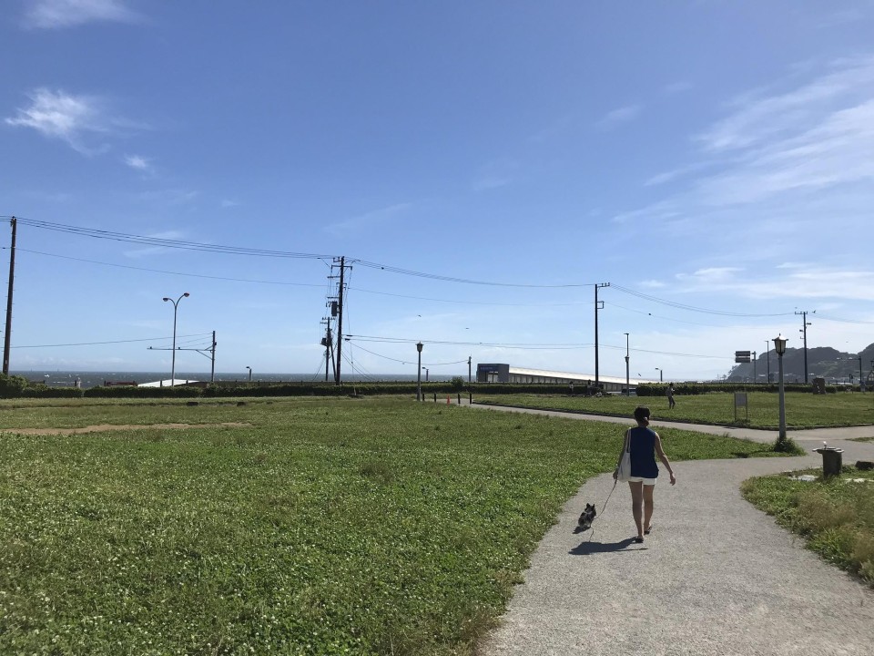 鎌倉海浜公園