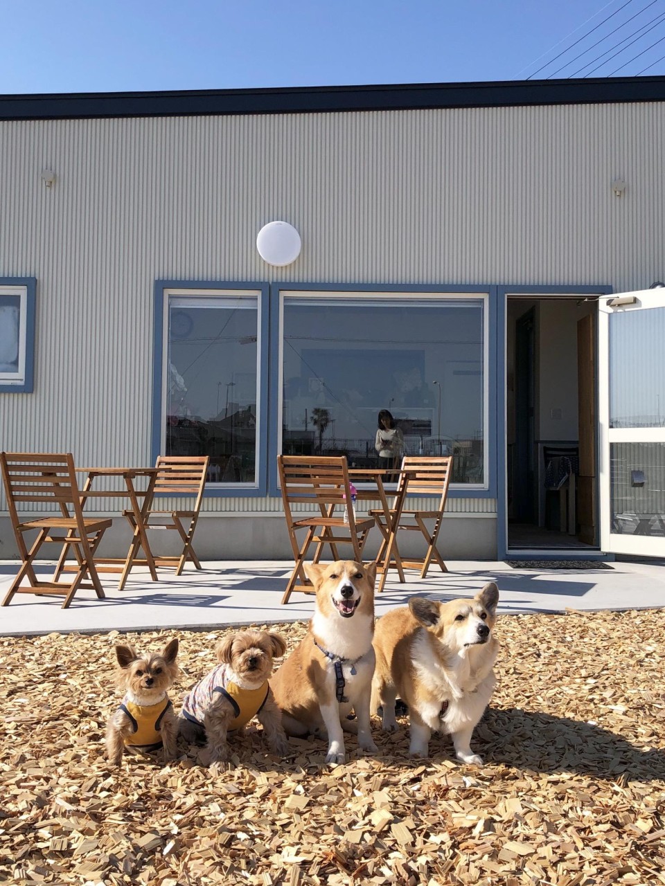 ドッグカフェ　ルポゼ （Reposer）
