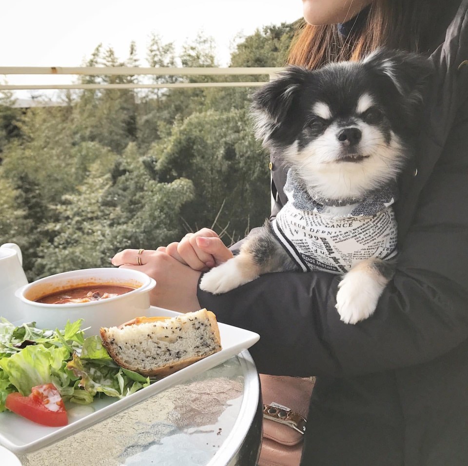 le milieu （ル・ミリュウ 鎌倉山）