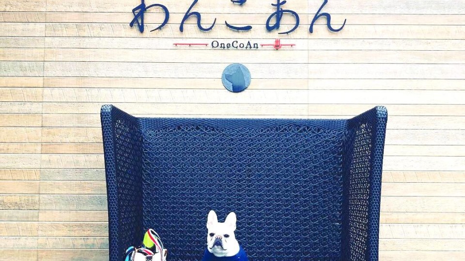 わんこと泊まれる宿 わんこあん