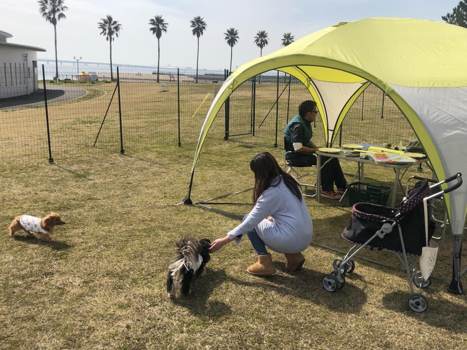 二色の浜公園　海浜緑地　DAYキャンプエリア