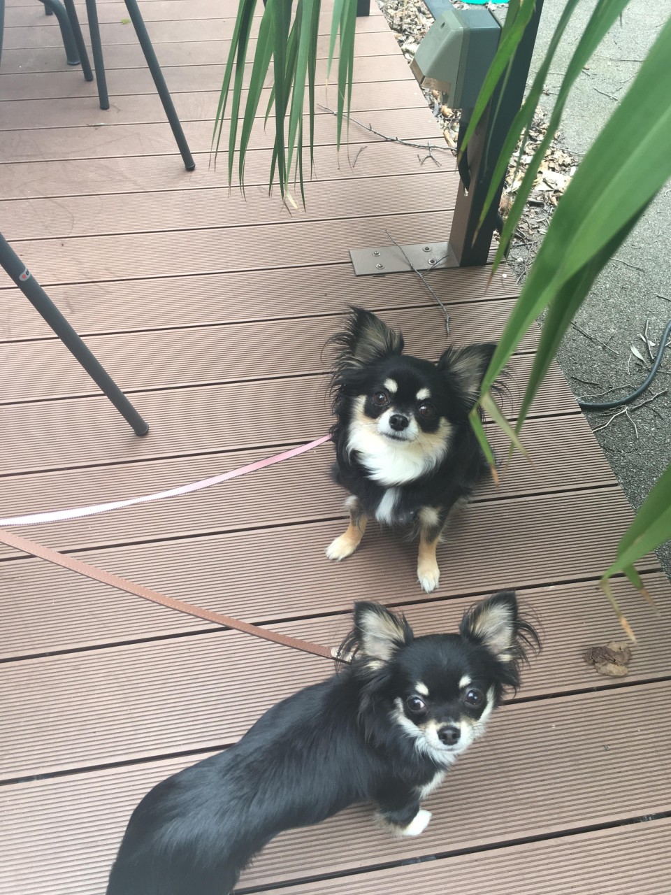 威南記 ウィーナムキー 日本本店