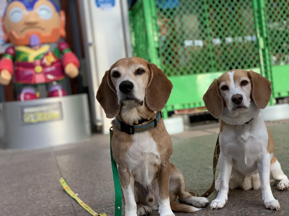 道の駅ばんだい