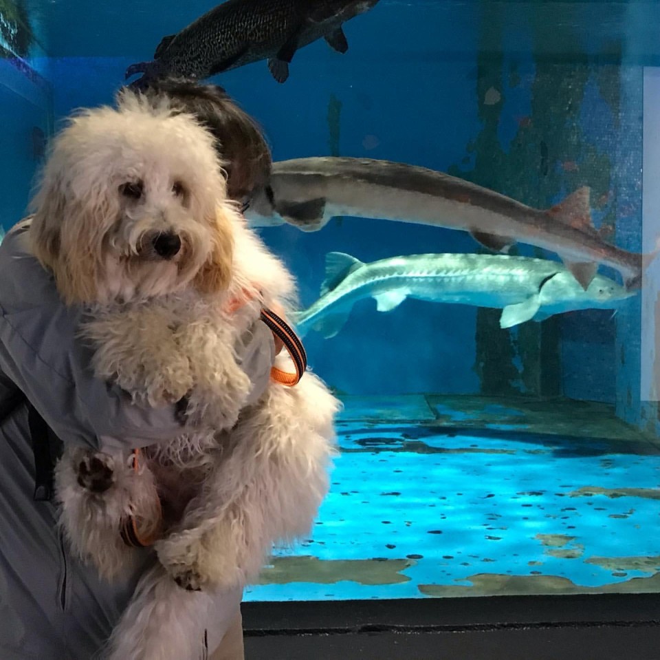 京急油壺マリンパーク