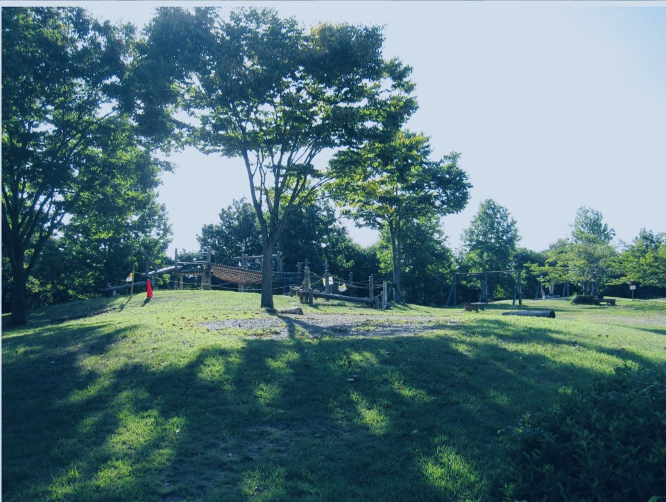 兵庫県立三木山森林公園