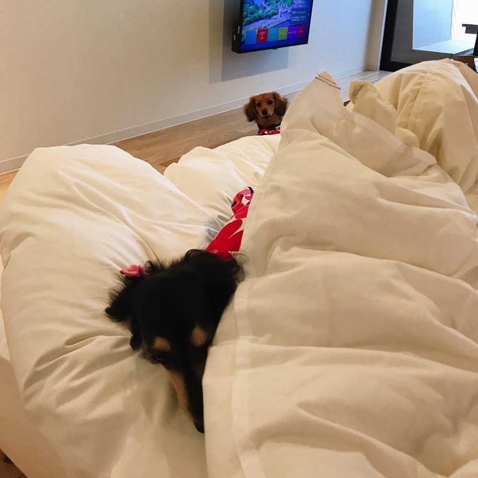 i+Land nagasaki （アイランドナガサキ）