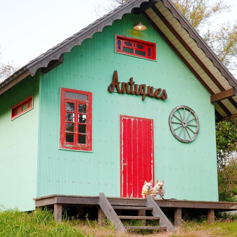 FBI First class Backpackers Inn.