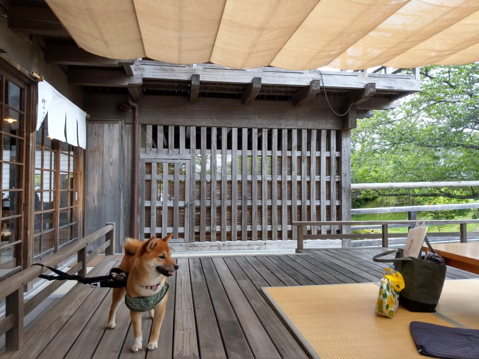 おかげ横丁　野遊び棚