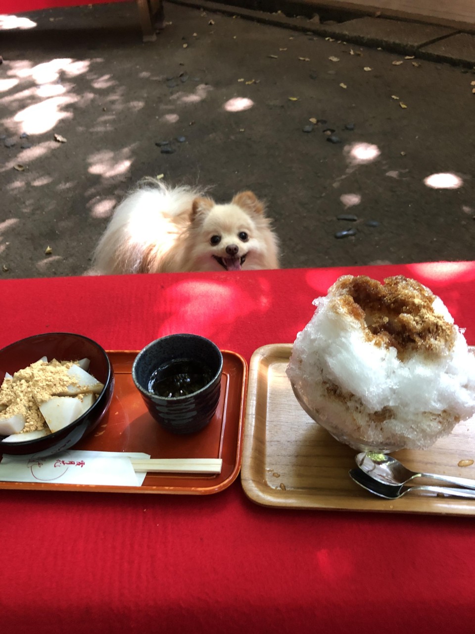 等々力渓谷公園