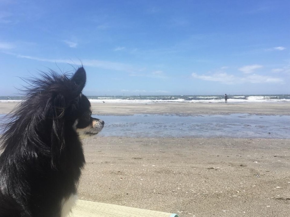 由比ガ浜海水浴場