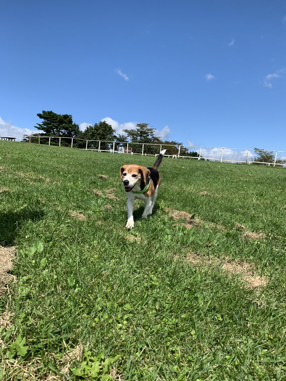 那須どうぶつ王国