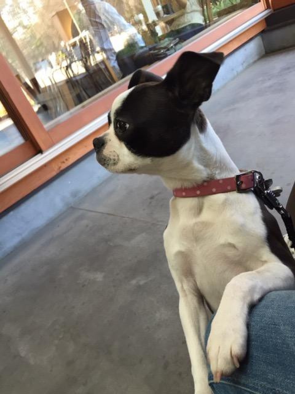 STARBUCKS COFFEE（スターバックスコーヒー）上野恩賜公園店