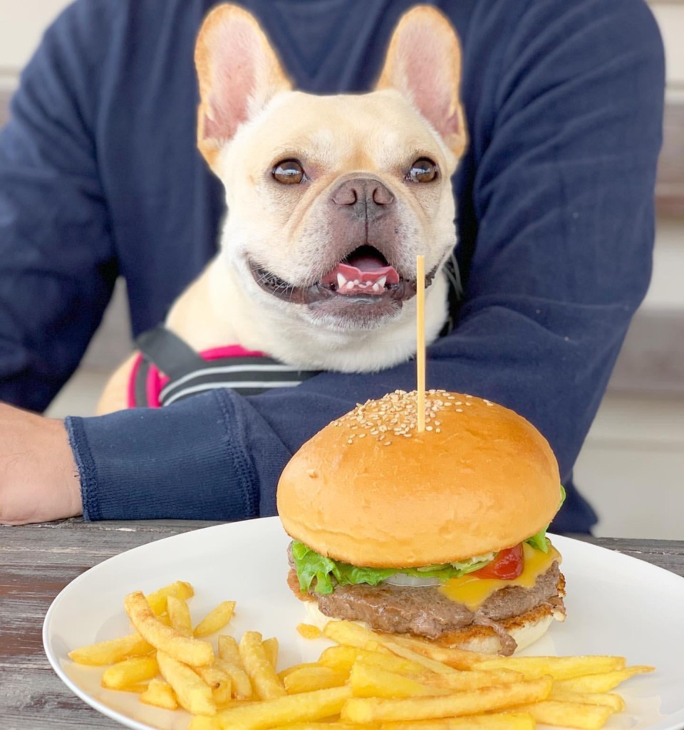 レインボーグリル