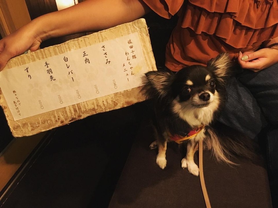 焼鳥　佐田十郎 （サタジュウロウ） 