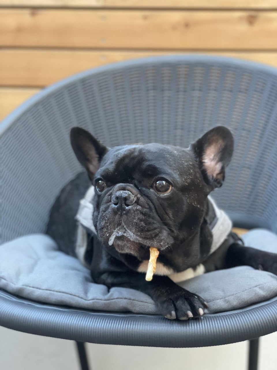 ZAIMOKUZA COFFEE（材木座コーヒー）