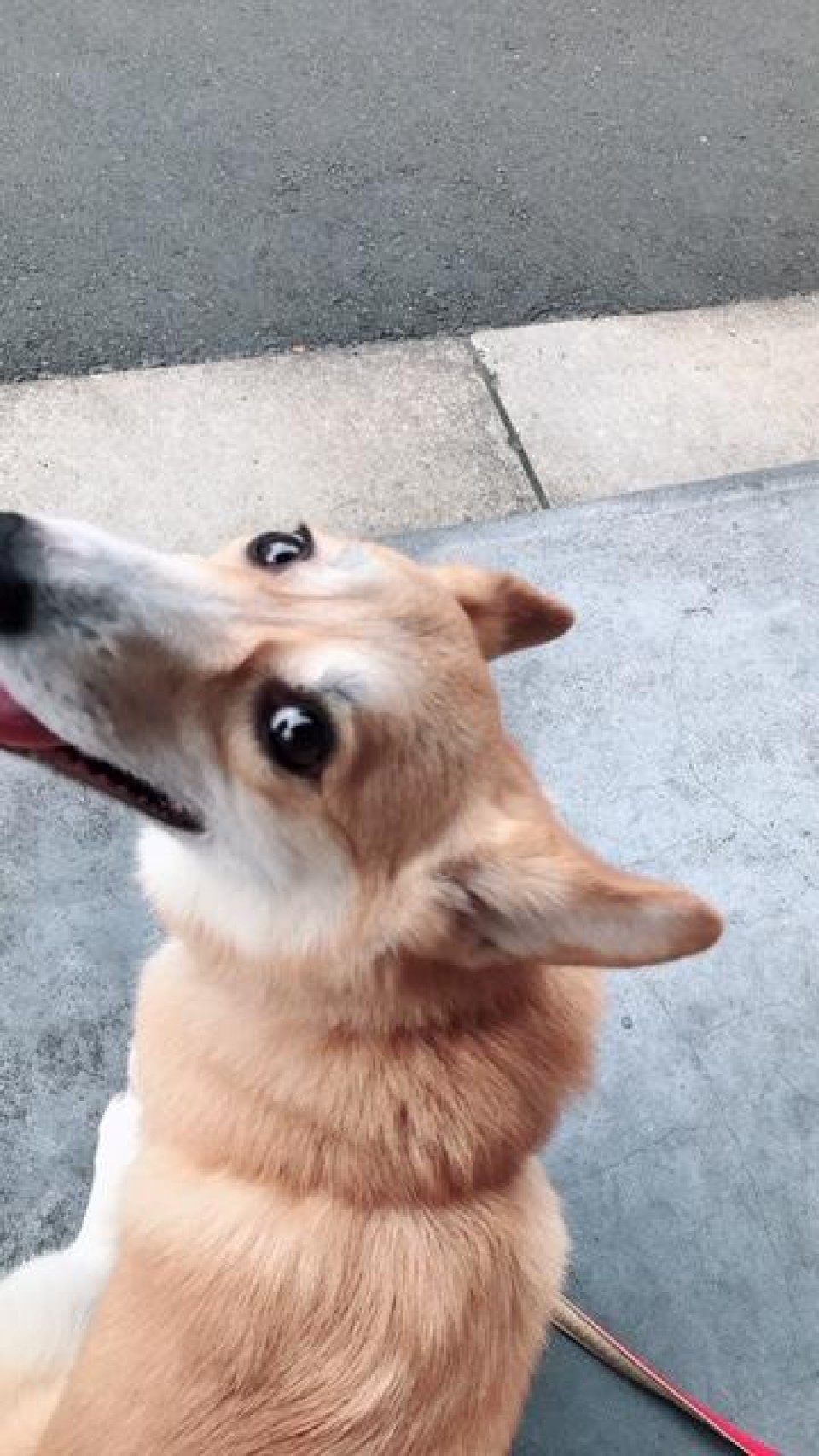 Neighborhood and Coffee（ネイバーフッドアンドコーヒー） 奥沢2丁目店