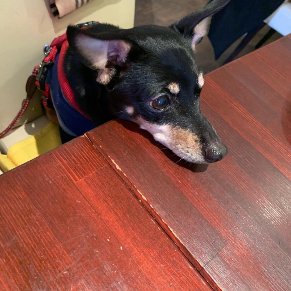 Trattoria Santa Teresa （トラットリアサンタテレーザ）