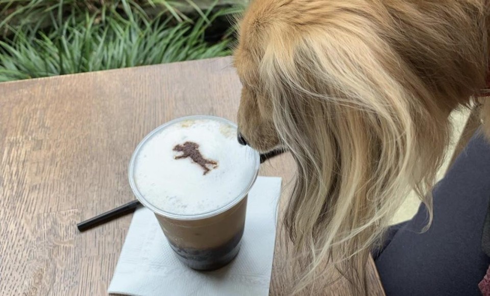 きんじろうカフェ