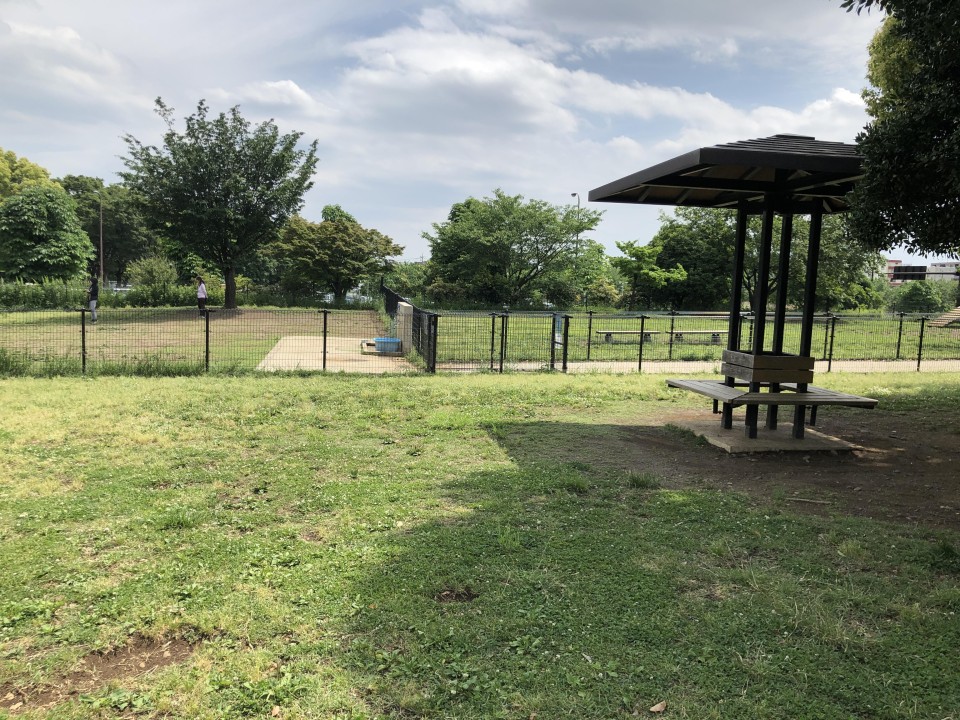 国営昭和記念公園 ドッグラン