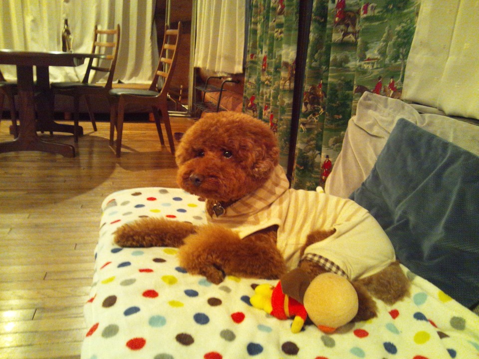 オーベルジュメソン