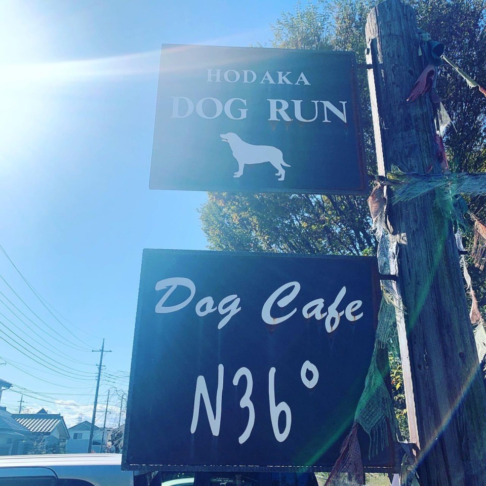 CAFE N36° （穂高ドッグラン）