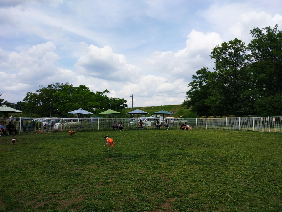 道満ドッグラン