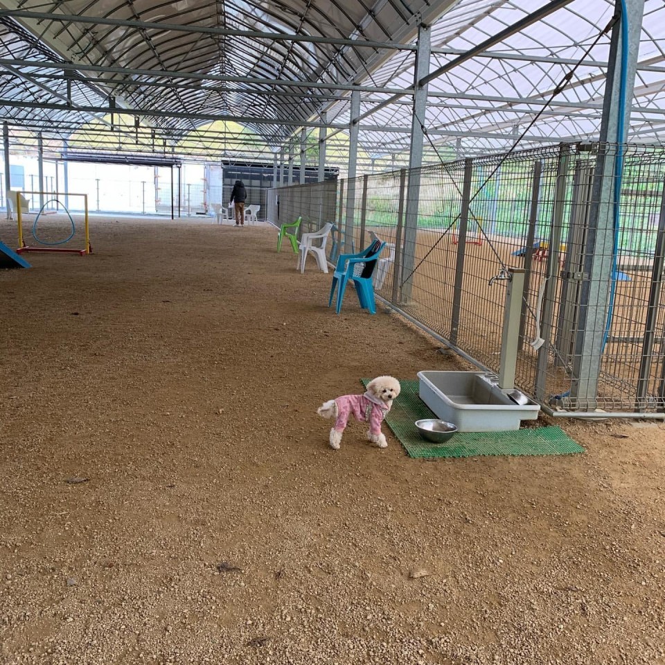 グラン・ドッグランド