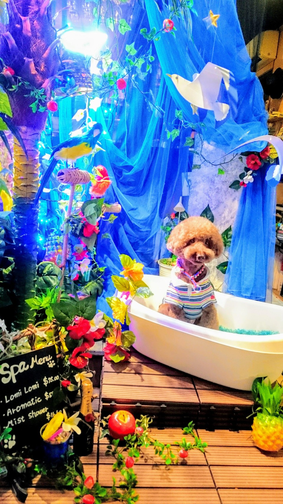 キャンベルハウス