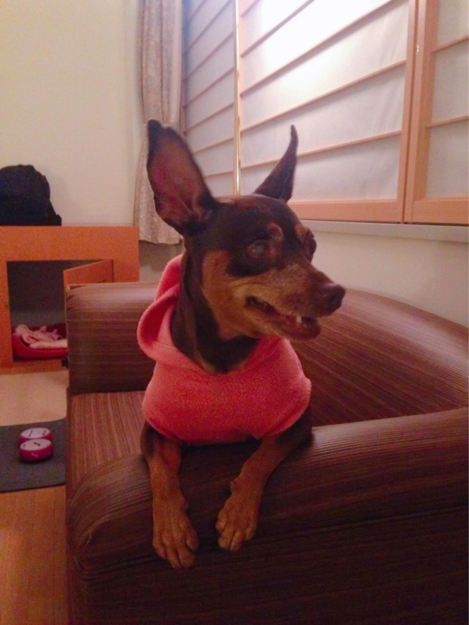 ホテルニュー水戸屋アネックス