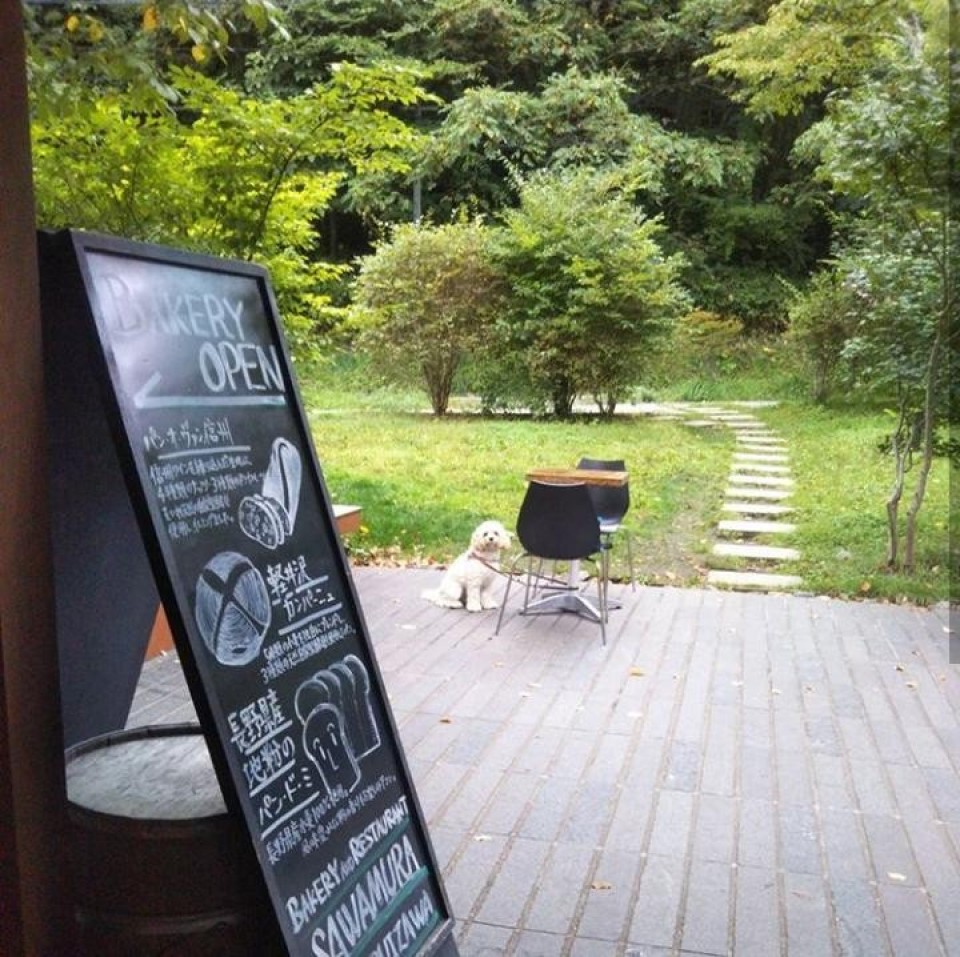 沢村 軽井沢ハルニレテラス