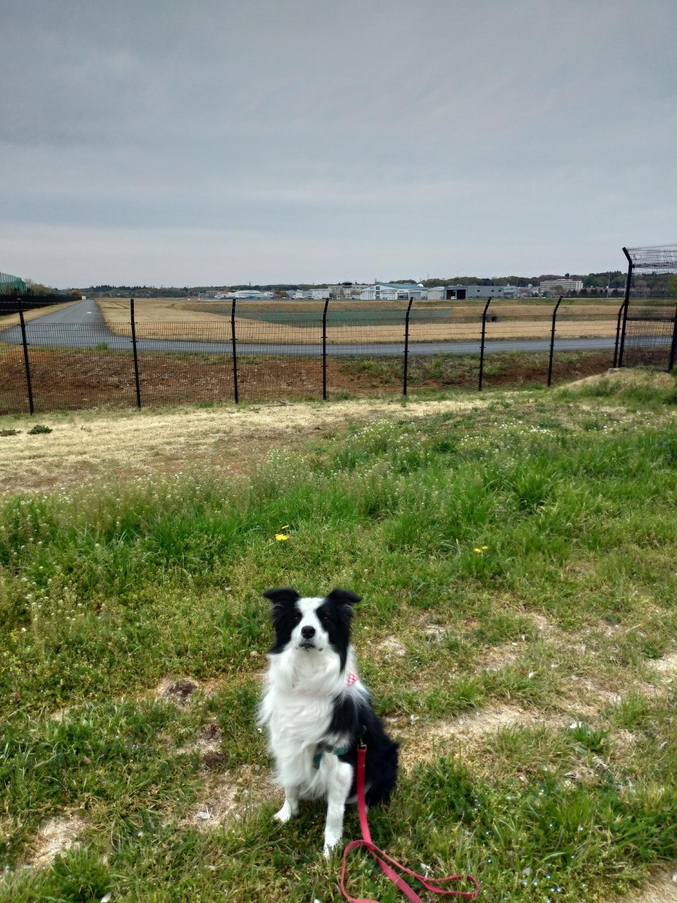 調布基地跡地運動広場