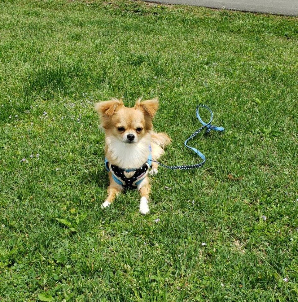 小岩井農場 まきば園