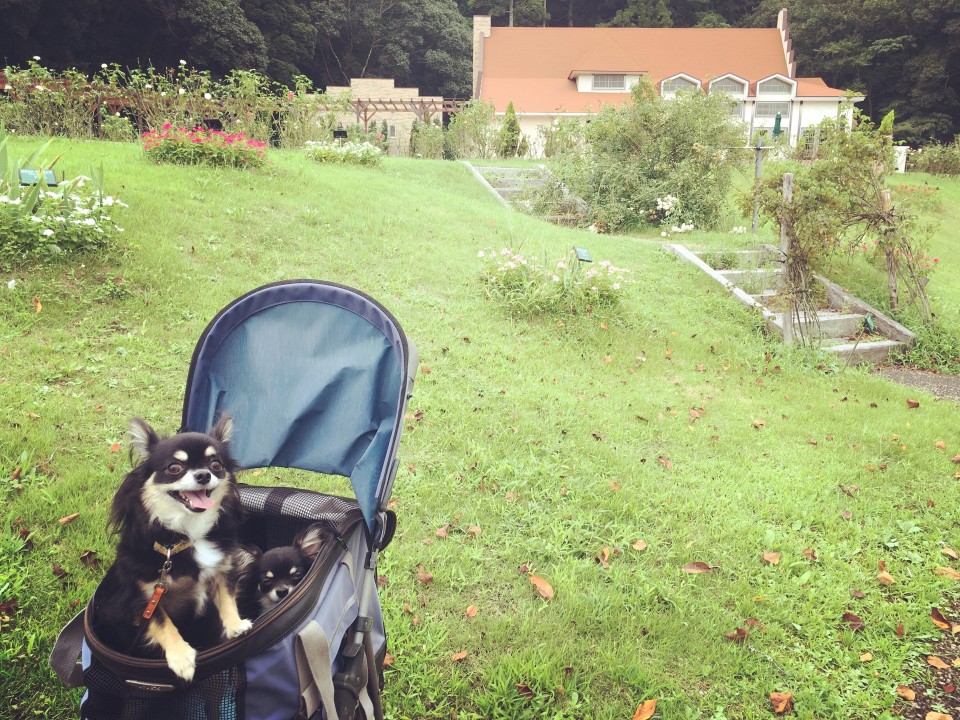 レイクウッズガーデンひめはるの里