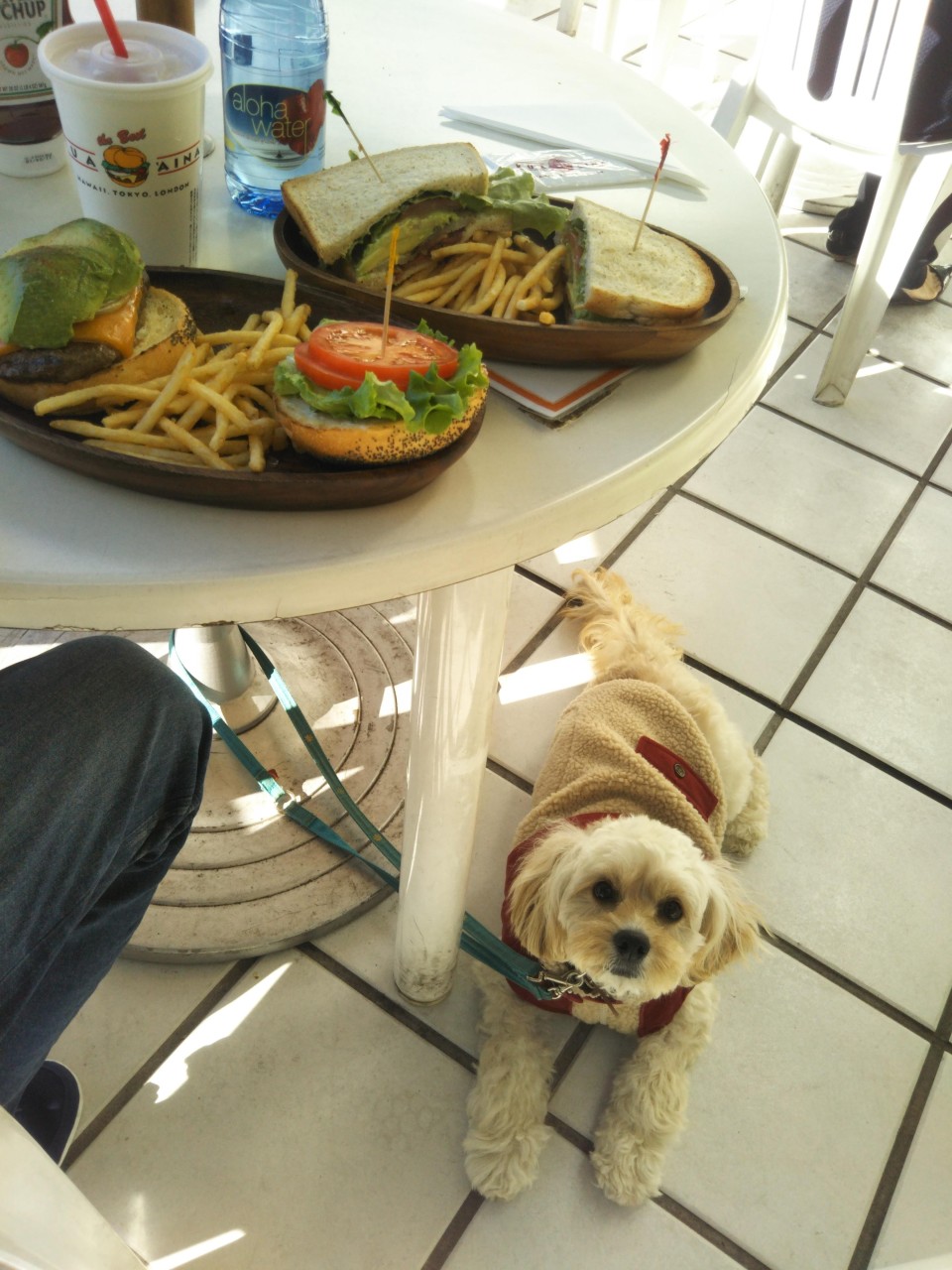 クアアイナ ベイクォーター店